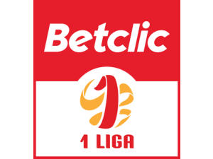 1. Liga