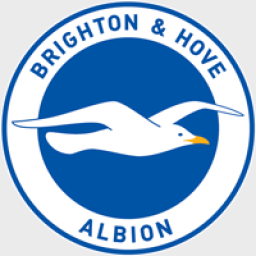 Brighton & Hove Albion FC - Brighton & Hove Albion FC