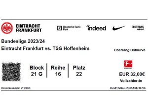 Eintrittskarte Eintracht Frankfurt : TSG 1899 Hoffenheim