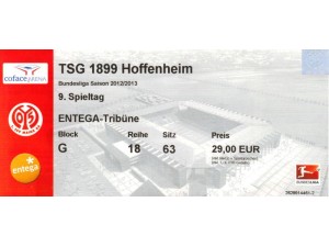 FSV Mainz 05 : TSG 1899 Hoffenheim - FSV Mainz 05 : TSG 1899 Hoffenheim